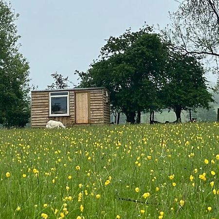 Off Grid Shepherds Hut Hotel Llansilin Exterior photo