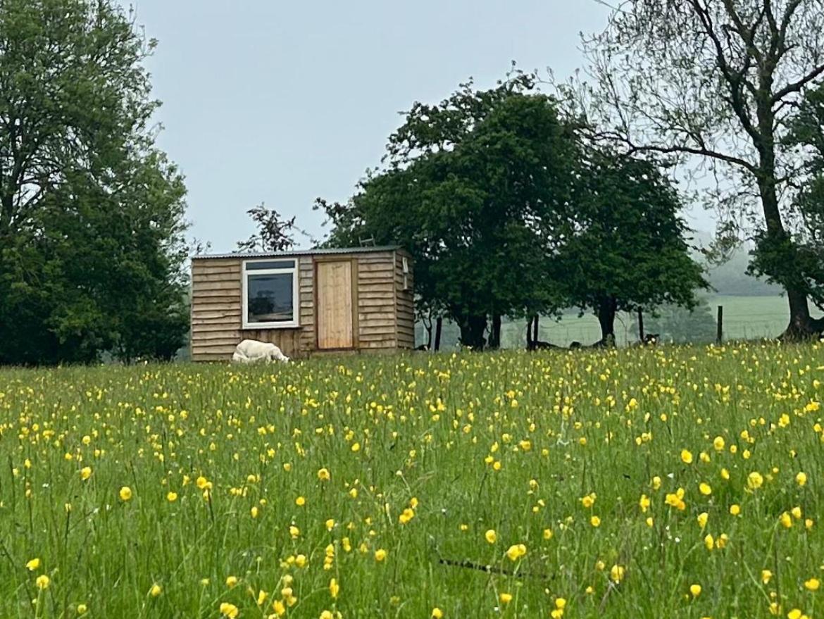 Off Grid Shepherds Hut Hotel Llansilin Exterior photo