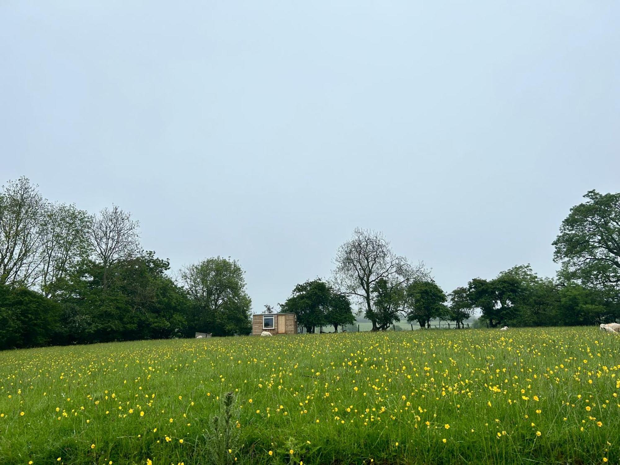 Off Grid Shepherds Hut Hotel Llansilin Exterior photo